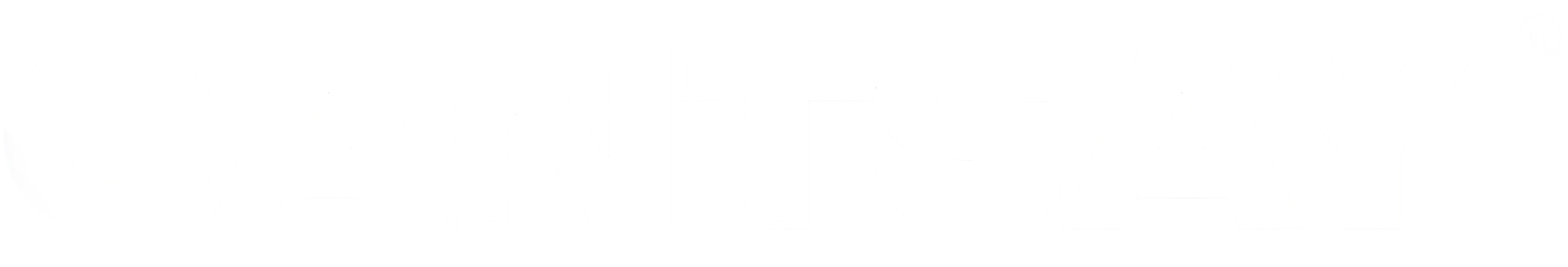 CAN'T SAY THE BRAND